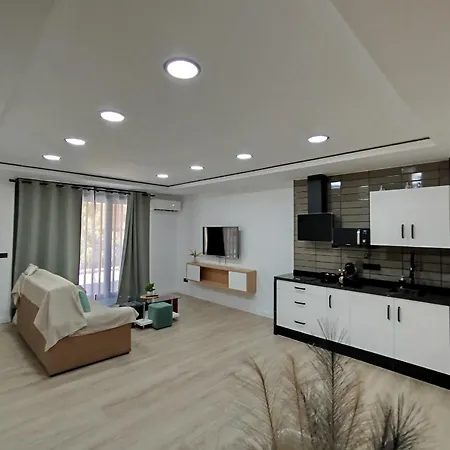 Loft Alve Apartment